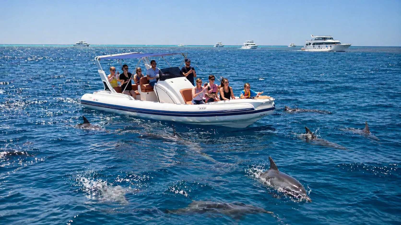 Private Speedboat to Dolphin House, Hurghada 3