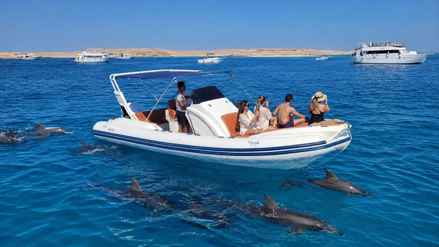 Private Speedboat to Dolphin House, Hurghada 4