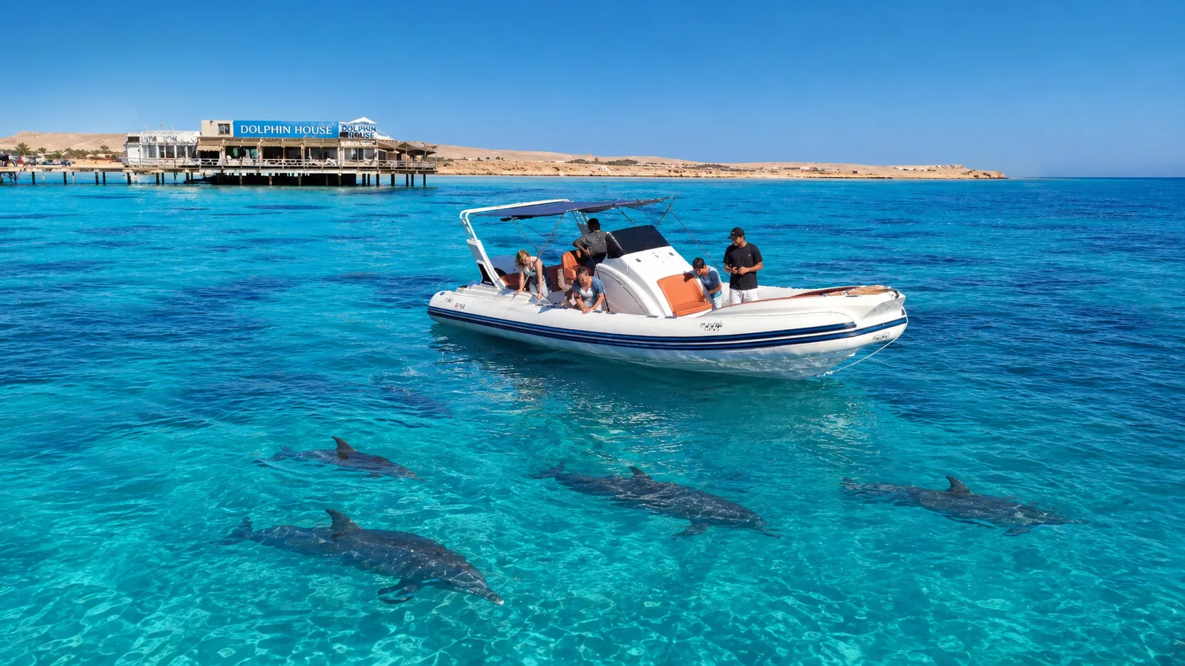 Private Speedboat to Dolphin House, Hurghada 6