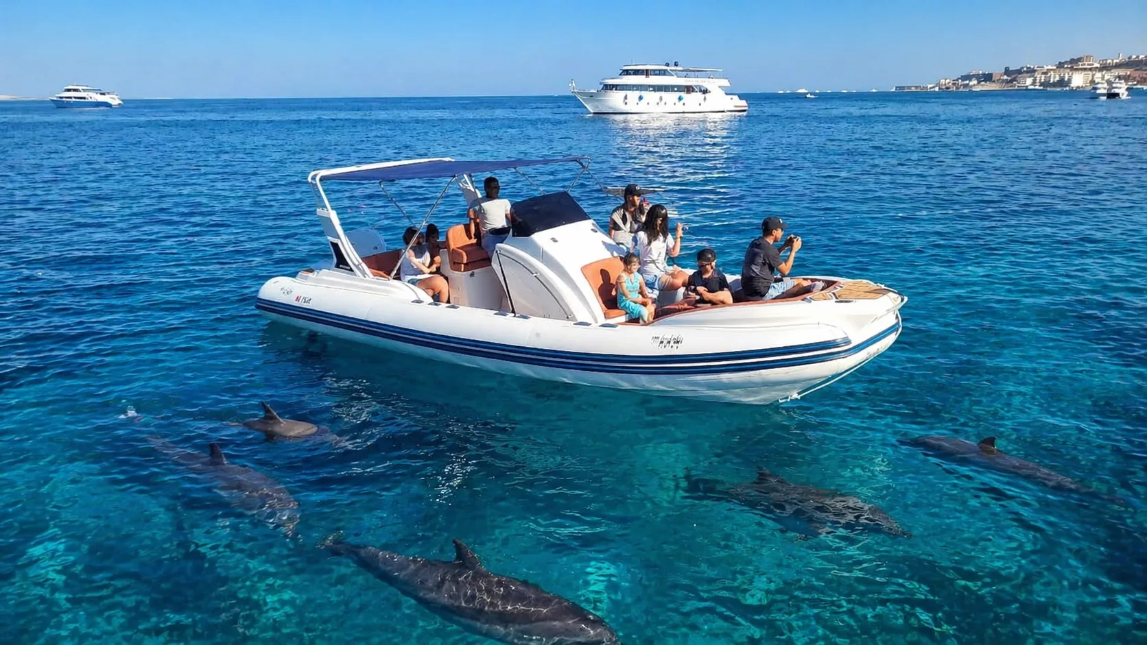 Private Speedboat to Dolphin House, Hurghada 8