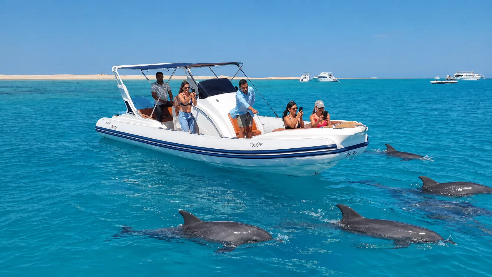 Private Speedboat to Dolphin House, Hurghada 9
