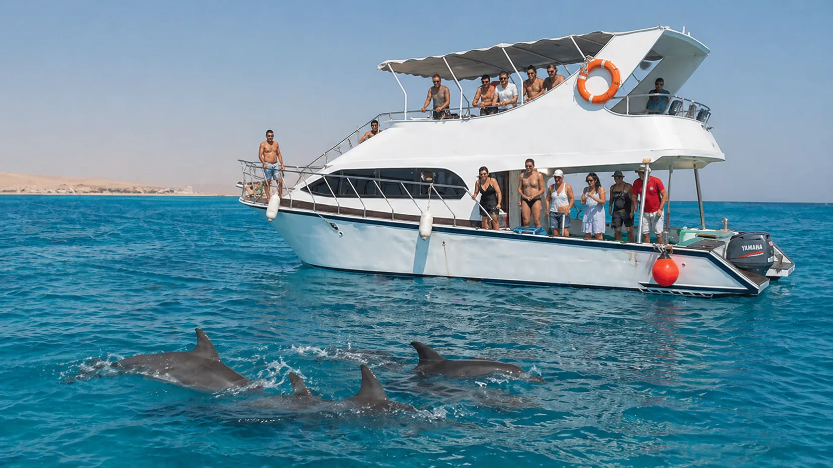 Private Boat to Dolphin House, Hurghada