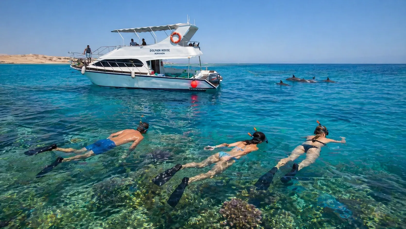 Private Boat to Dolphin House, Hurghada 4