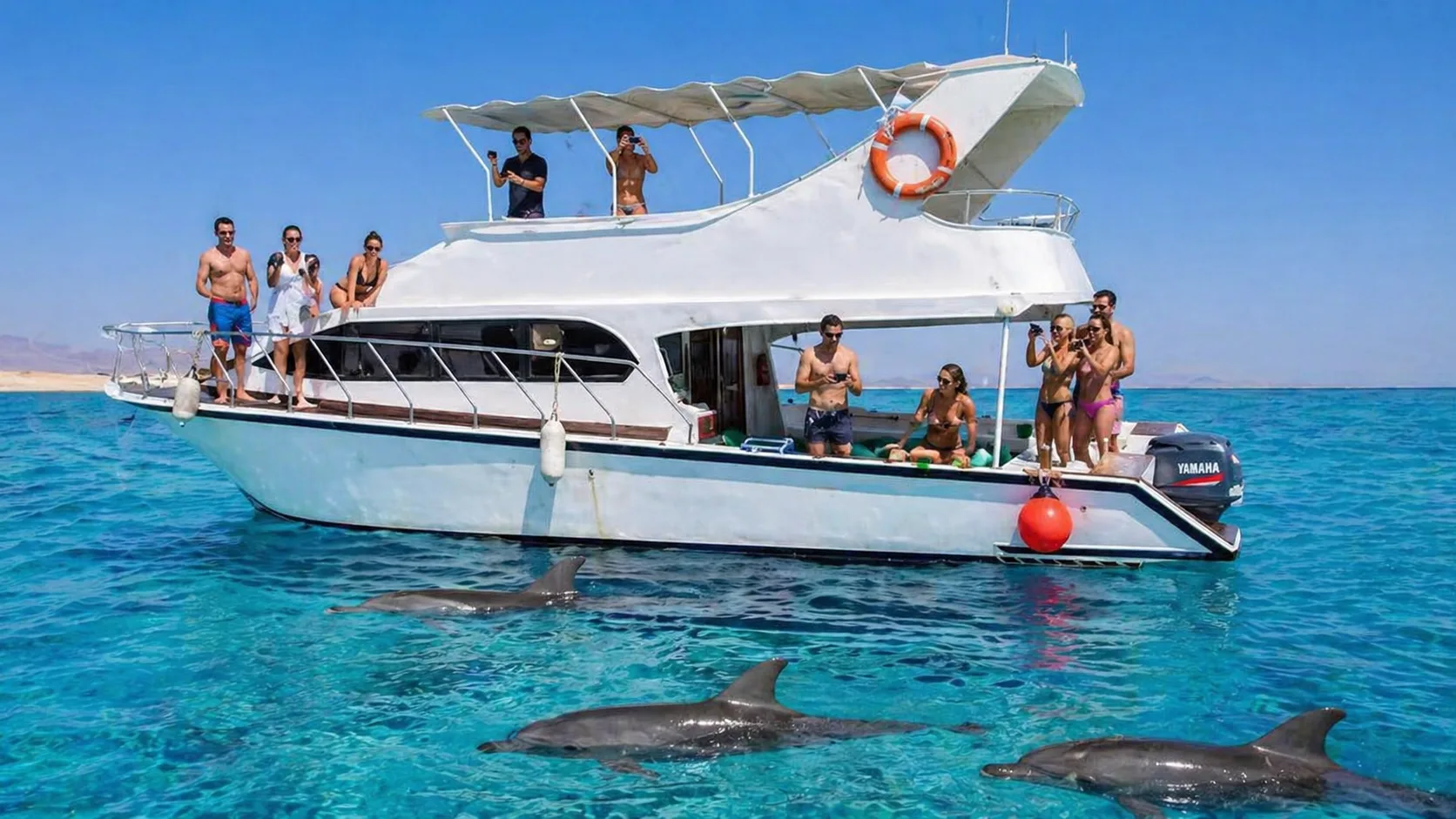 Private Boat to Dolphin House, Hurghada 5