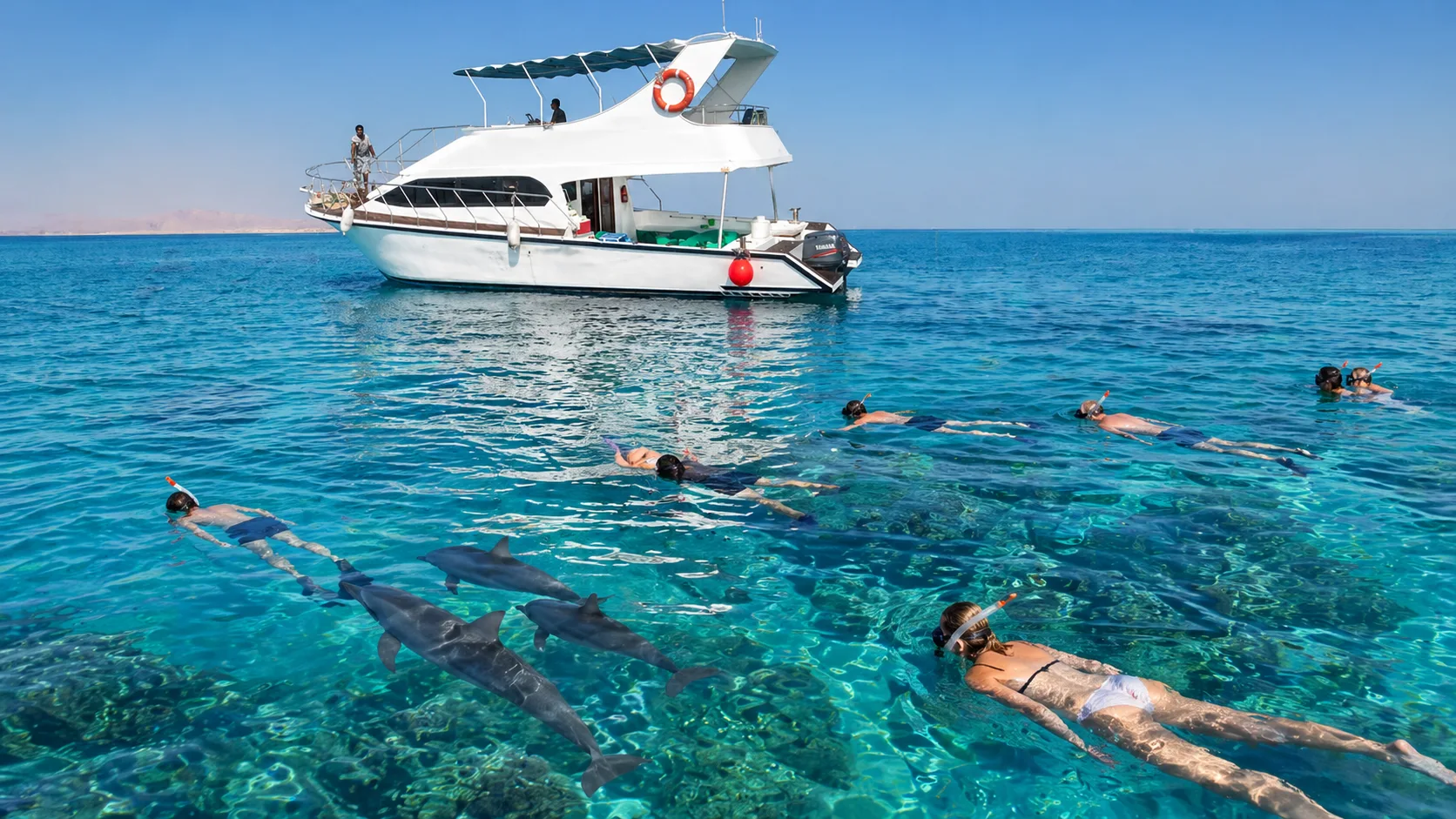 Private Boat to Dolphin House, Hurghada 9