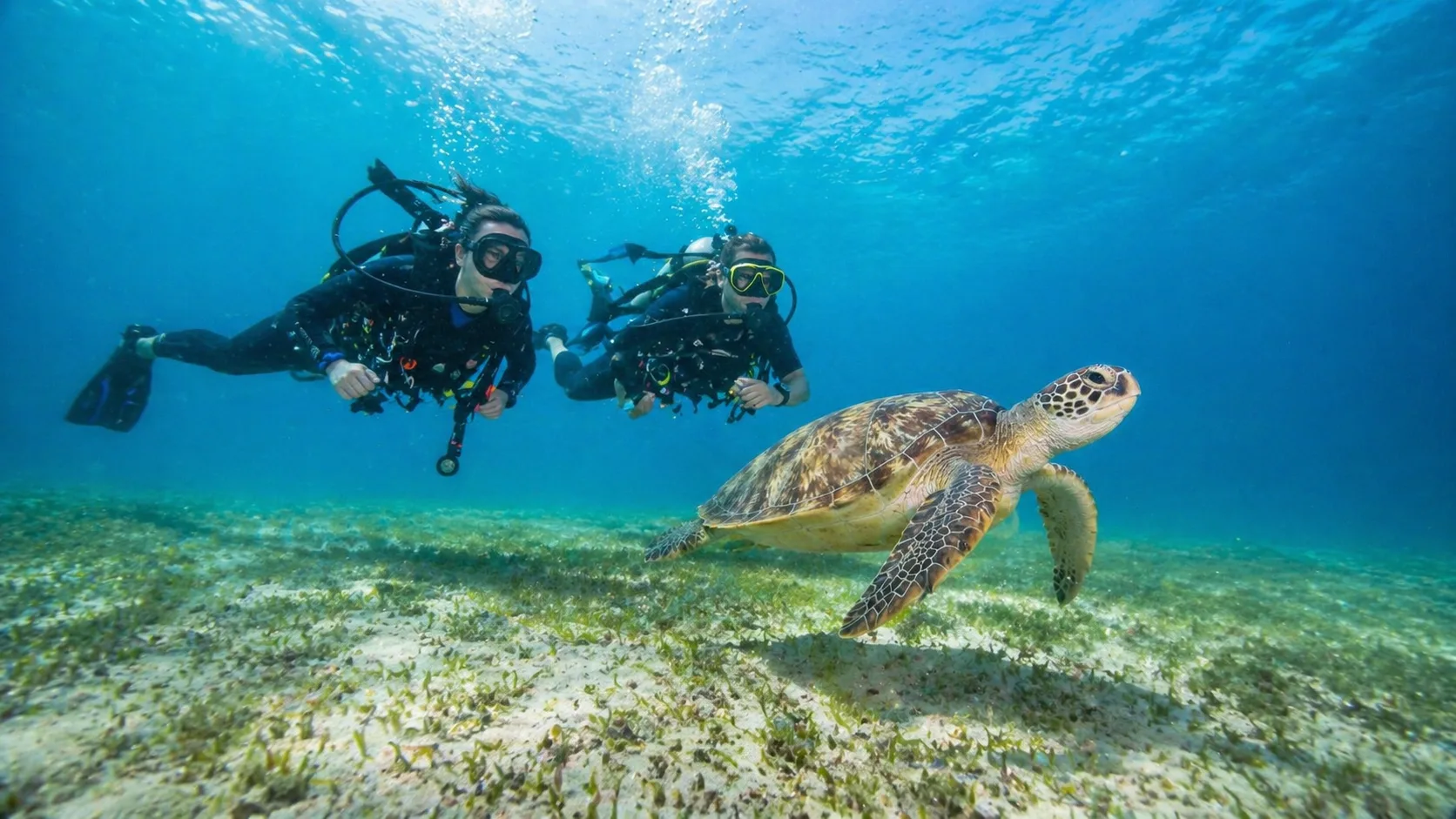 Abu Dabbab, Snorkel with Dugongs, Marsa Alam 3