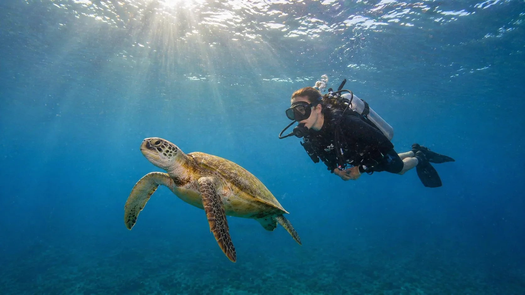 Abu Dabbab, Snorkel with Dugongs, Marsa Alam 5