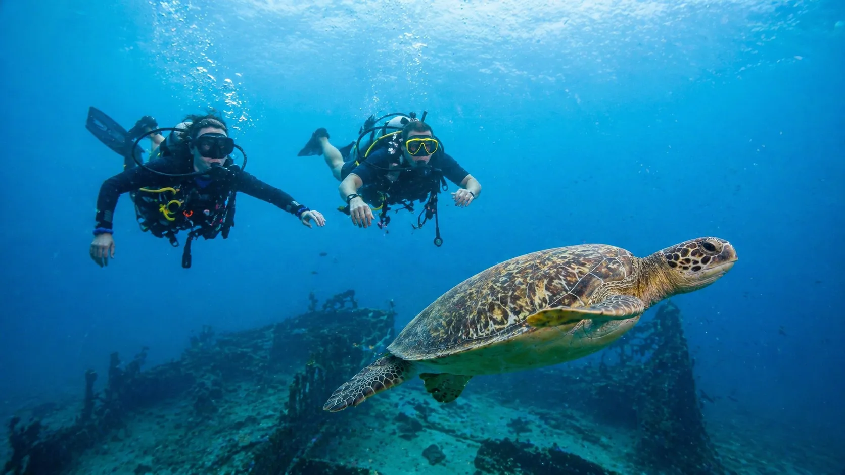 Abu Dabbab, Snorkel with Dugongs, Marsa Alam 7