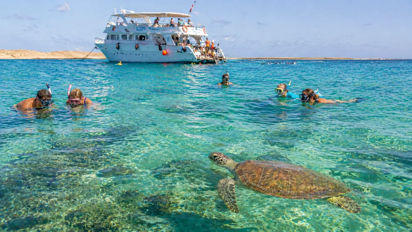 Marsa Mubarak, Turtles & Dugongs, Marsa Alam 10