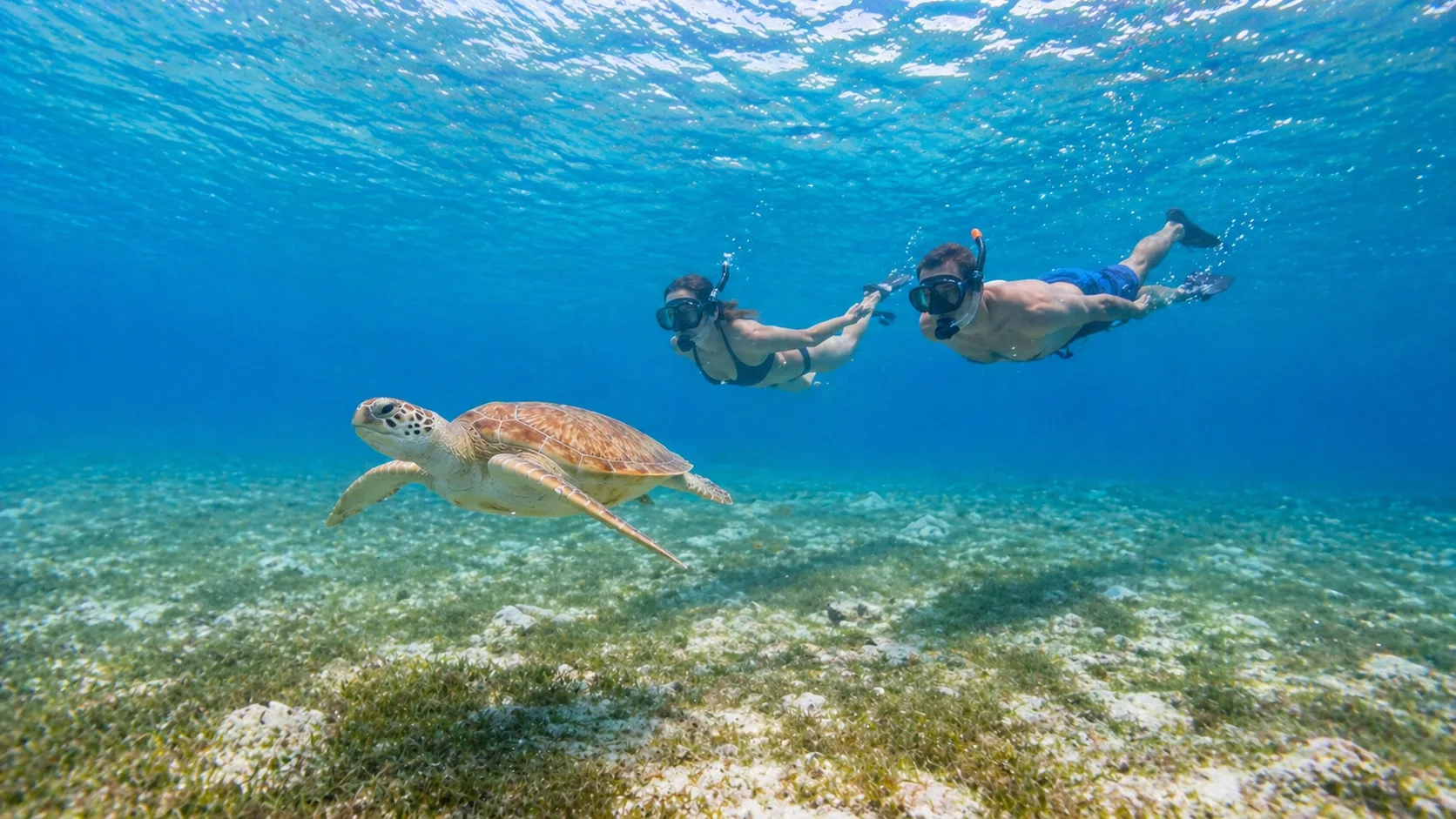 Marsa Mubarak, Turtles & Dugongs, Marsa Alam 3