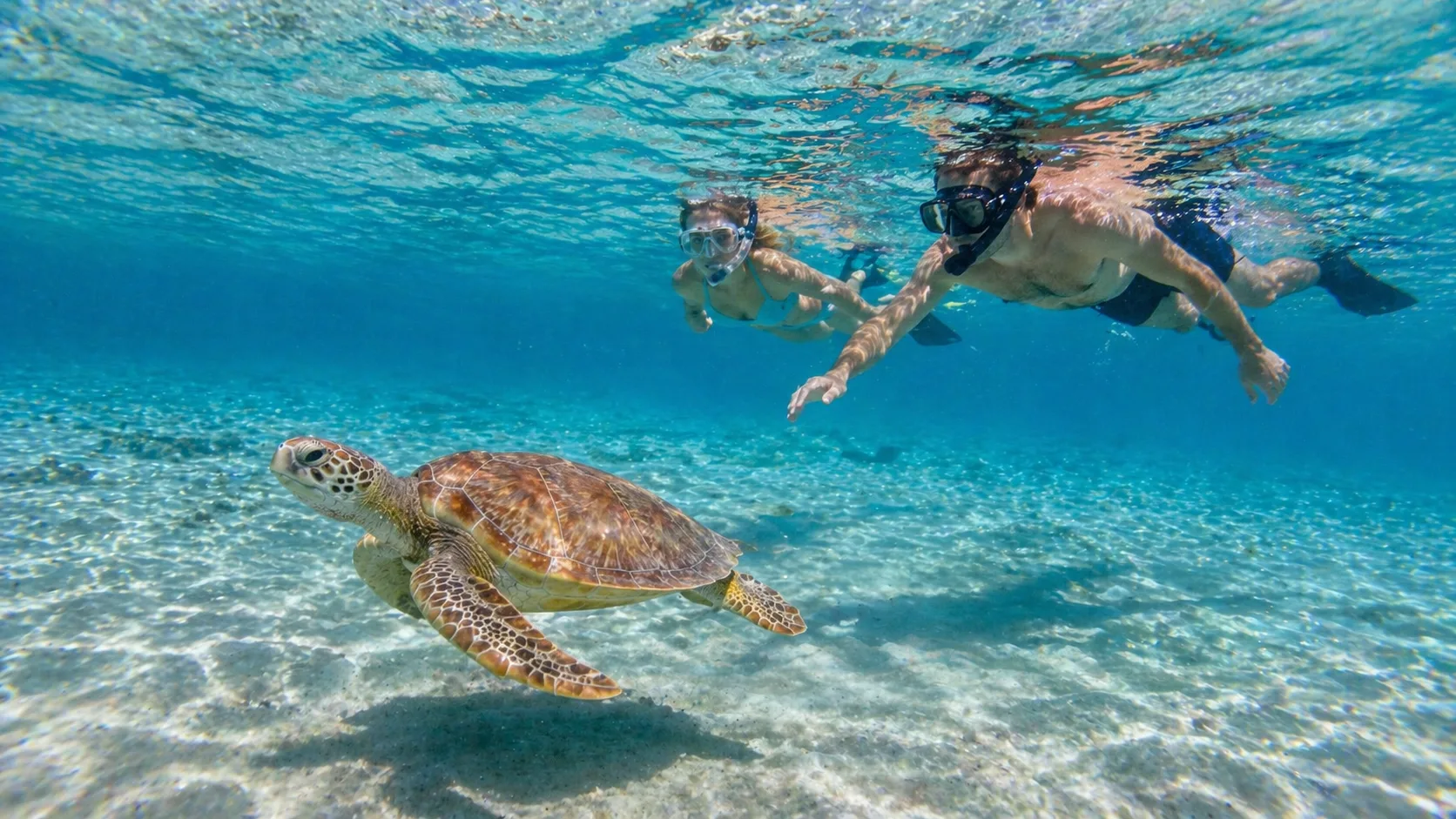 Marsa Mubarak, Turtles & Dugongs, Marsa Alam 5
