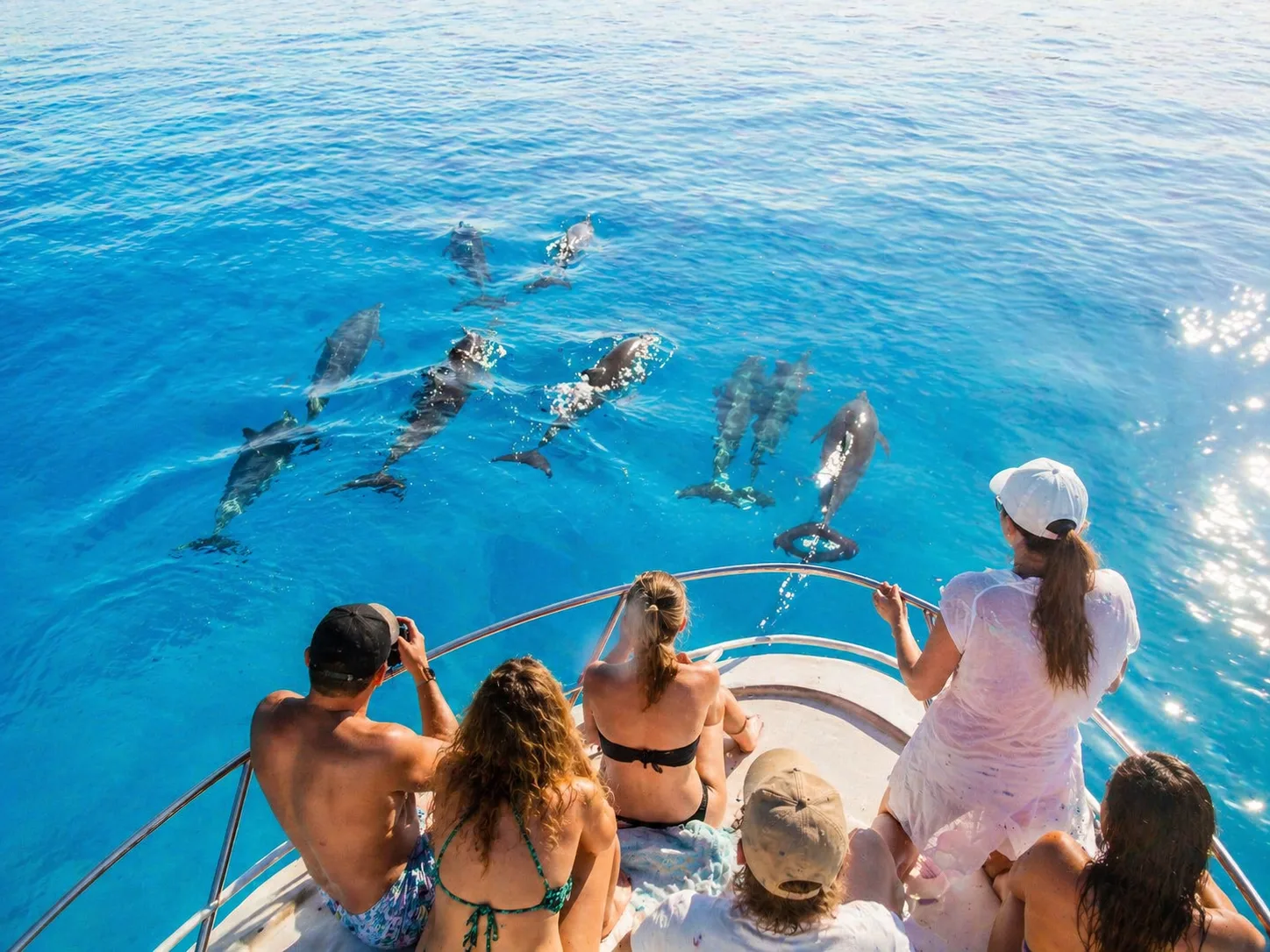 Samadai Dolphin House, Marsa Alam 3
