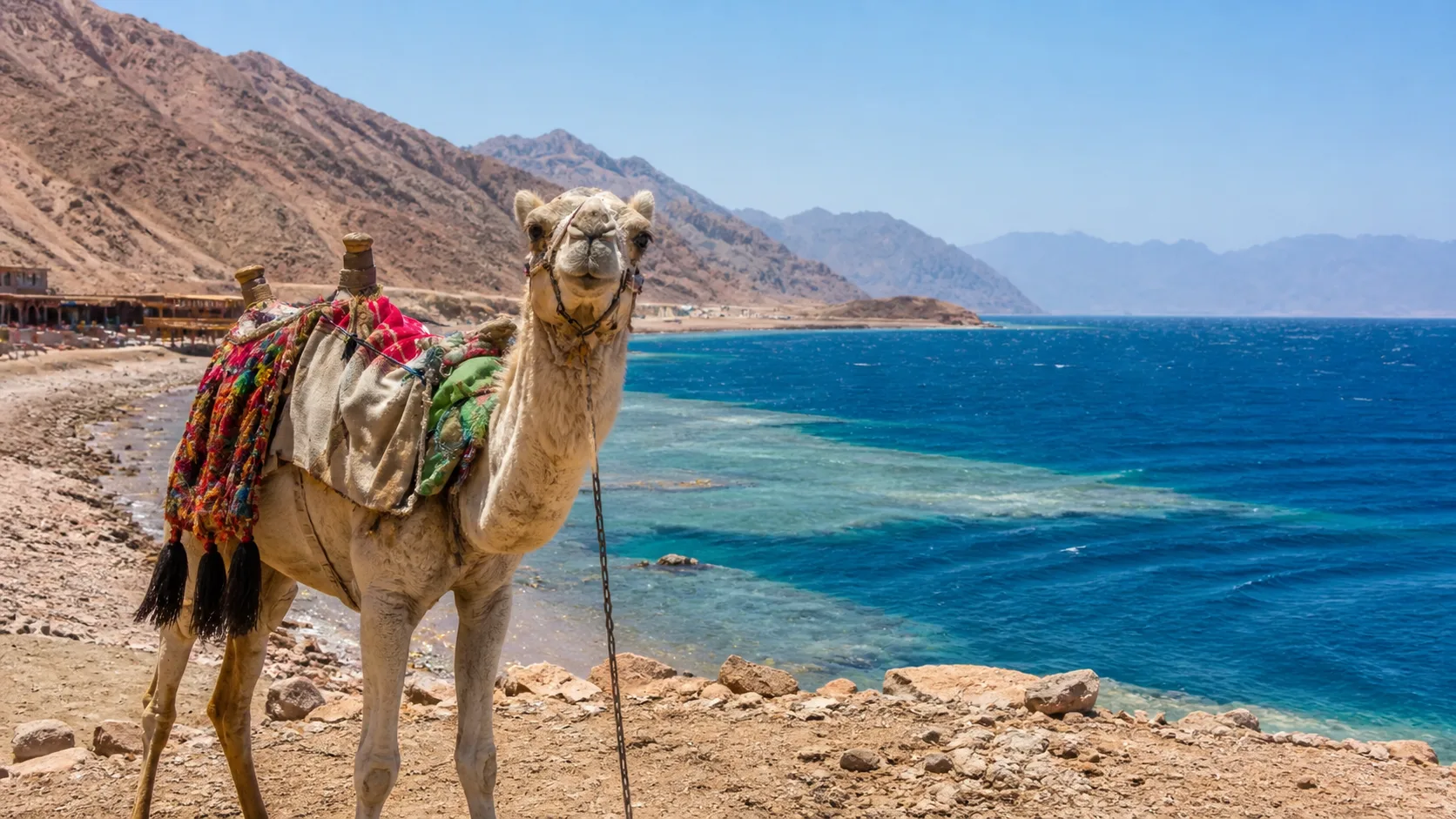 Blue Hole & Dahab Day Trip, Sharm El Sheikh 10