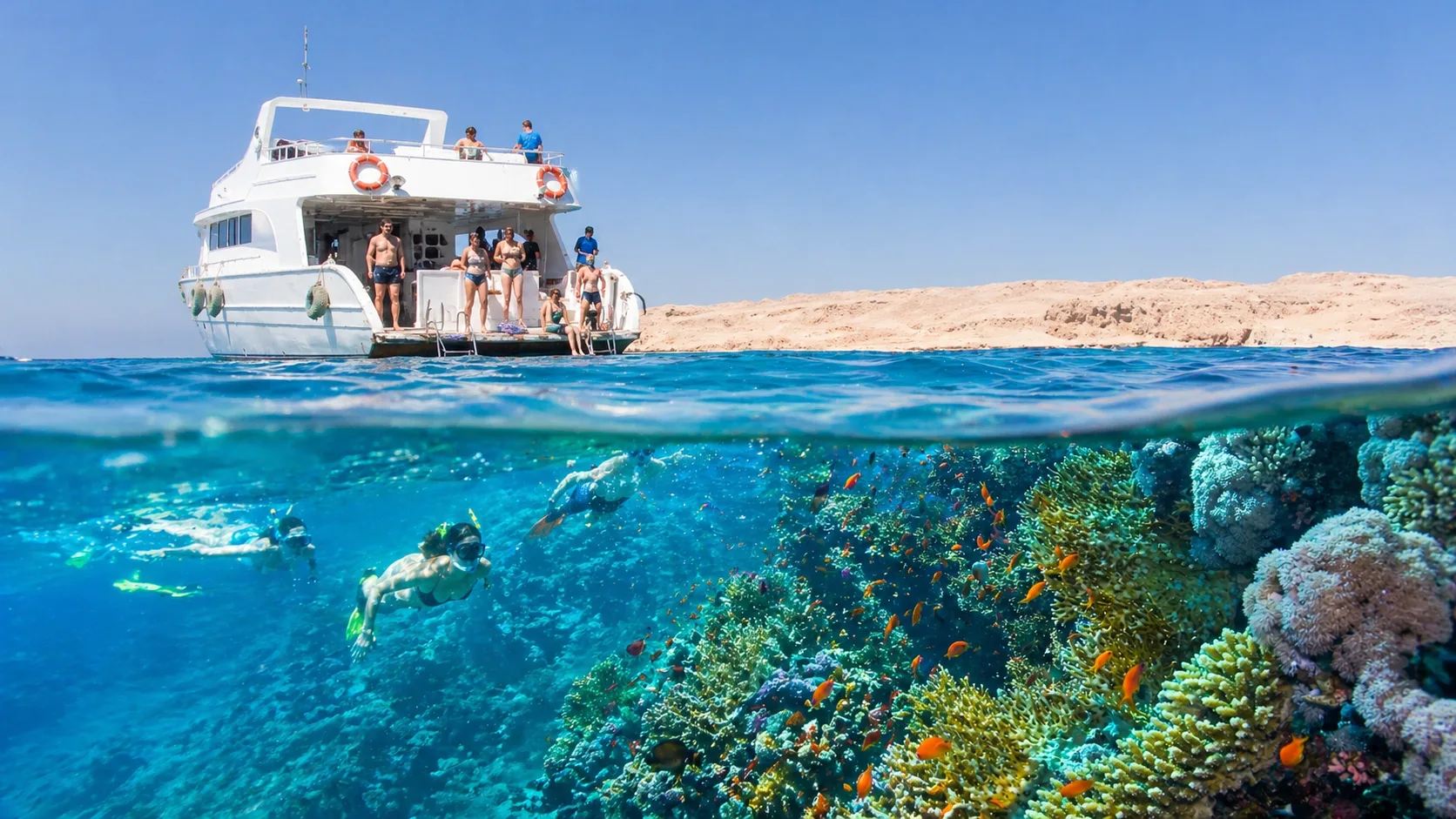 Ras Mohamed National Park, Sharm El Sheikh 4