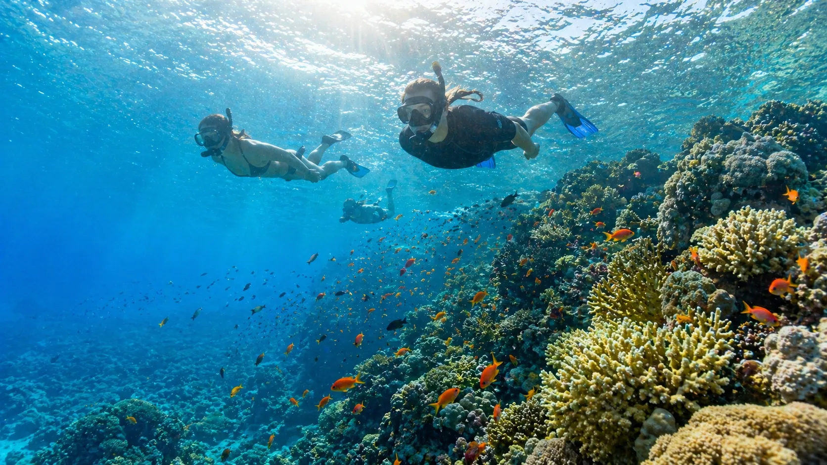 Ras Mohamed National Park, Sharm El Sheikh 7