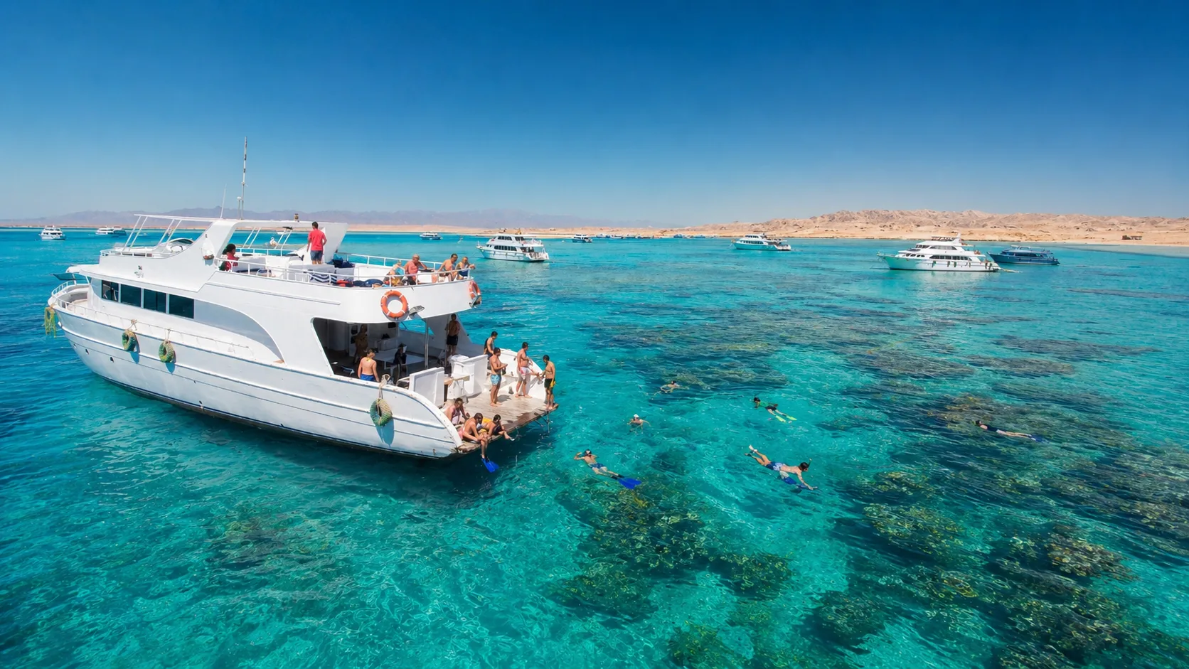 Ras Mohamed National Park, Sharm El Sheikh 8