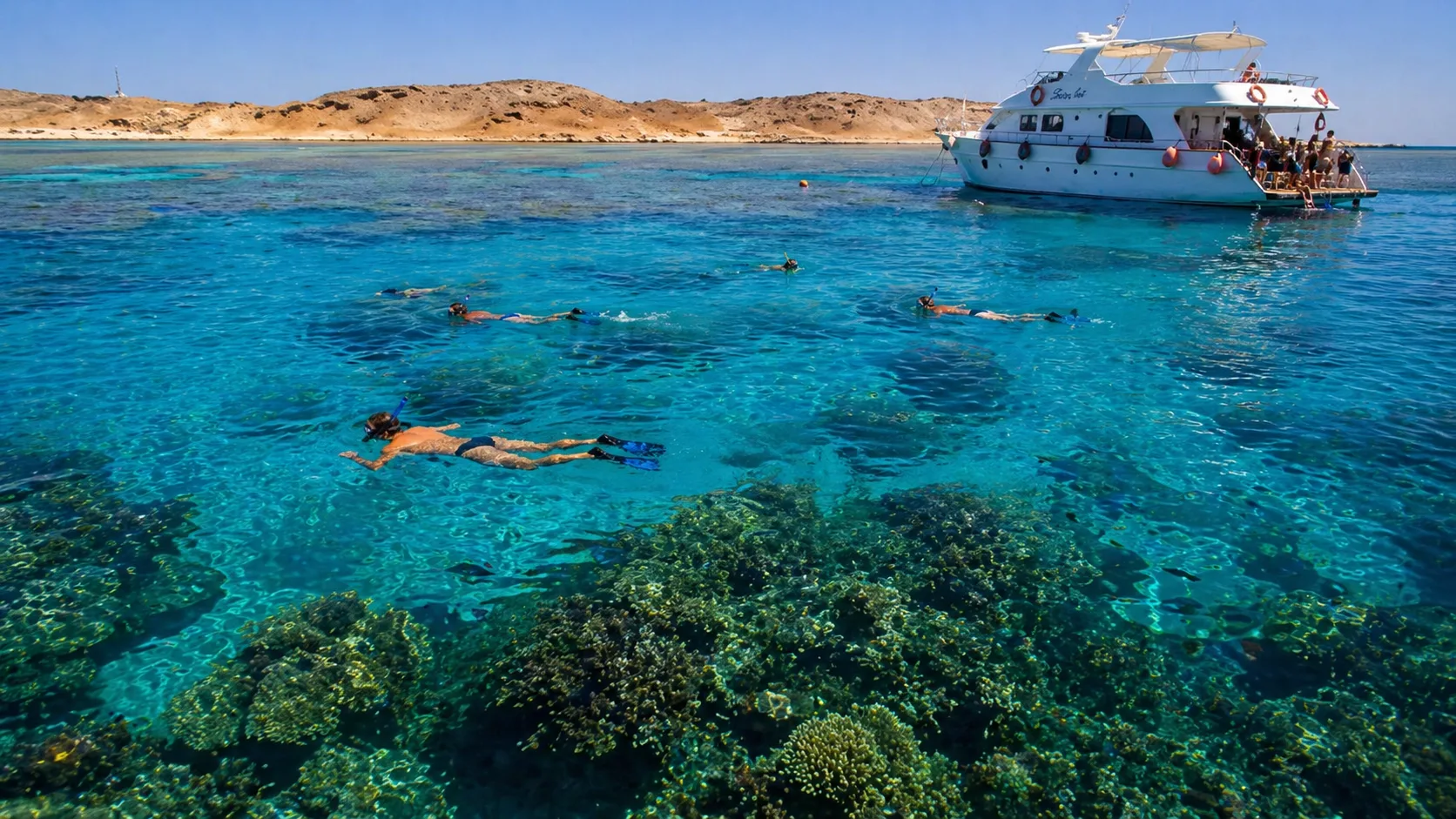 Tiran Island Snorkeling, Sharm El Sheikh 8
